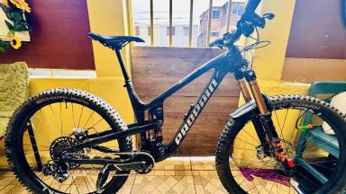 Bicicleta Enduro Propain Tyee Cf 6 Raw 2021