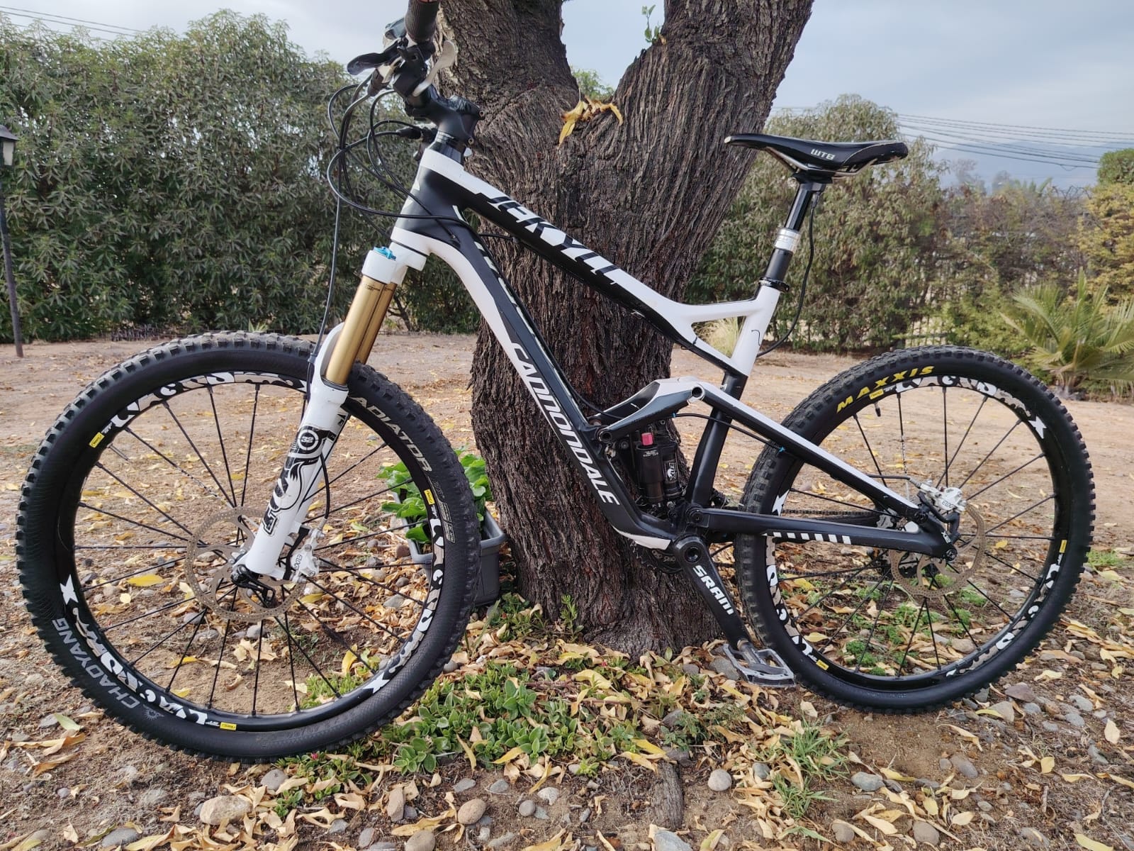 Bicicleta Enduro Cannondale Jekyll