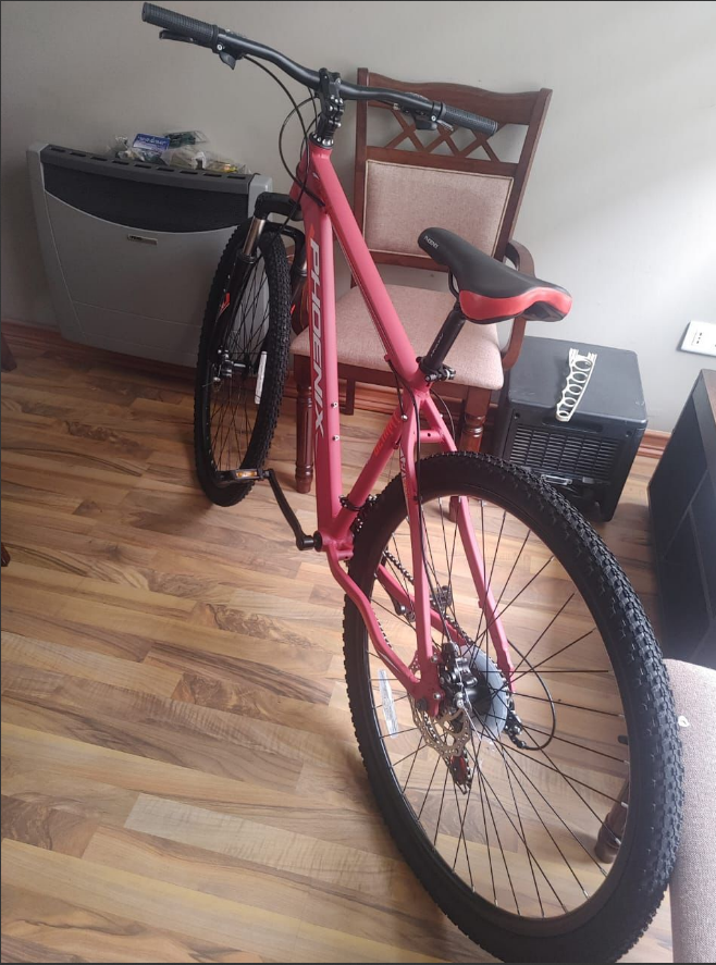 Bicicleta Mountain Bike Phoenix Mtb 29"