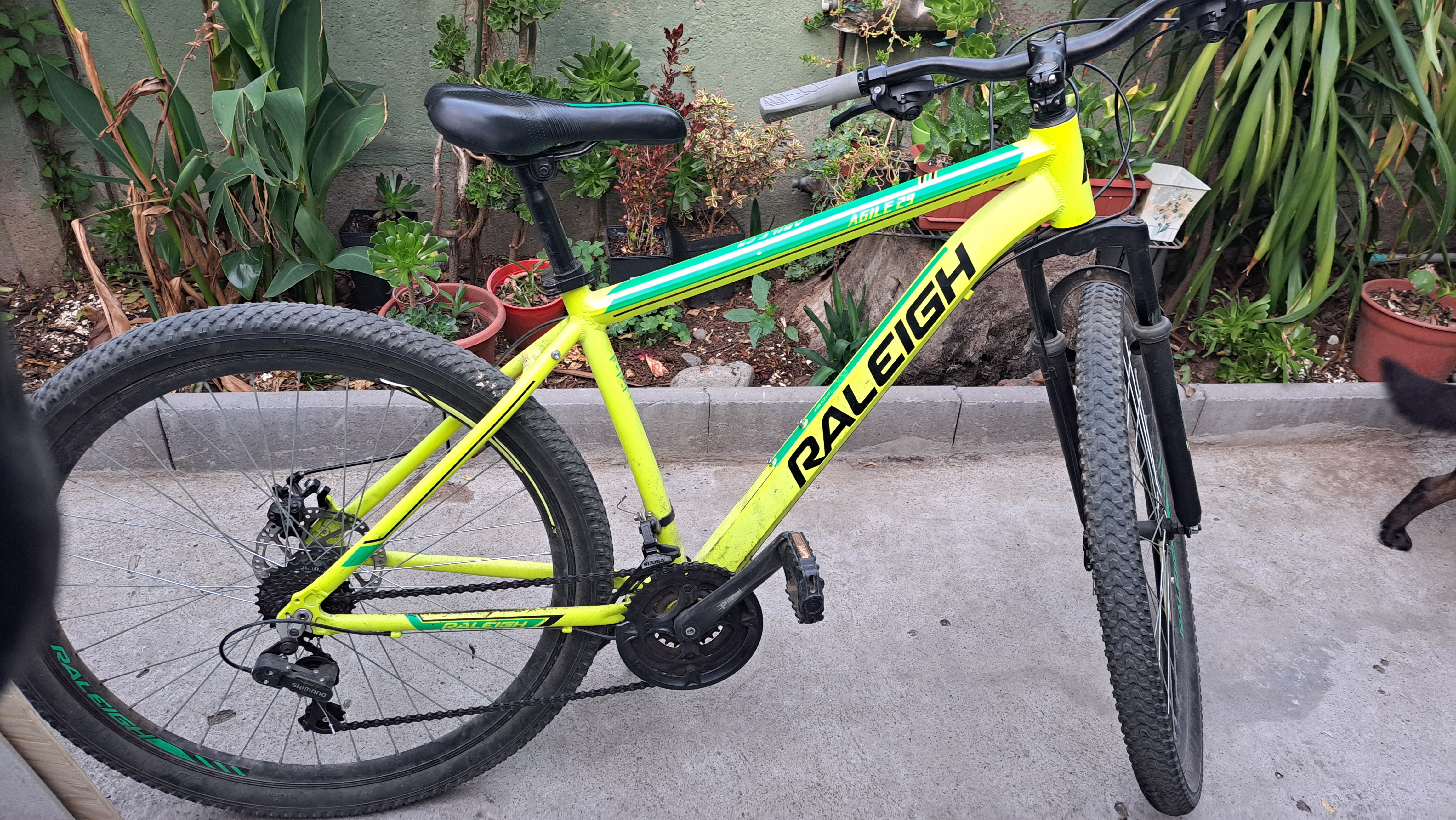 Bicicleta Mountain Bike Raleigh Agile.